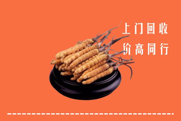 高价求购：云浮云城回收散虫草